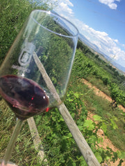 El Conjuro i glasset og vinmarken
