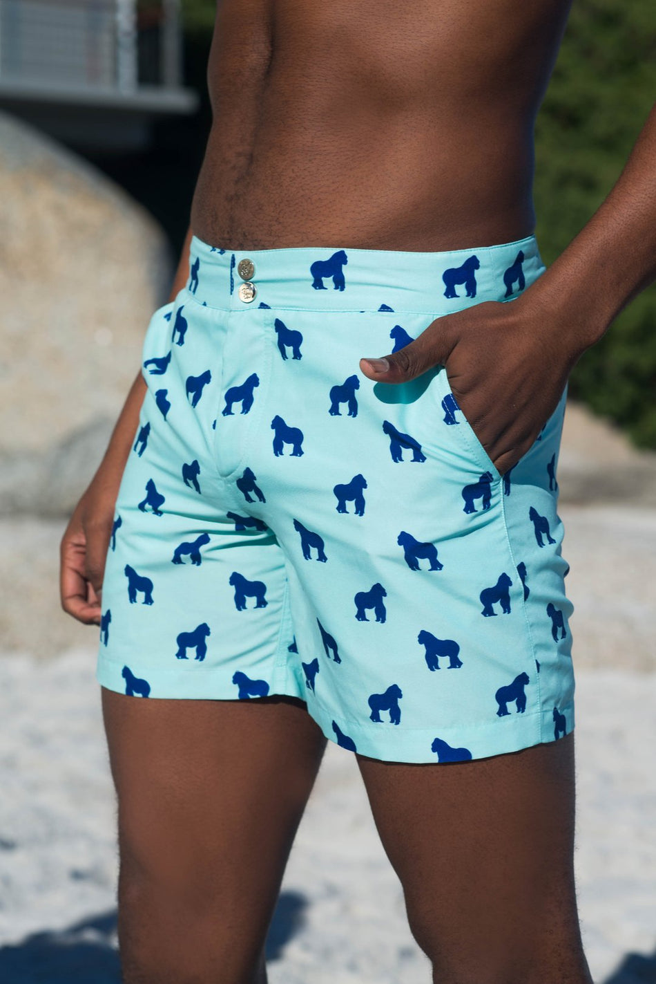 mens trunks swimwear