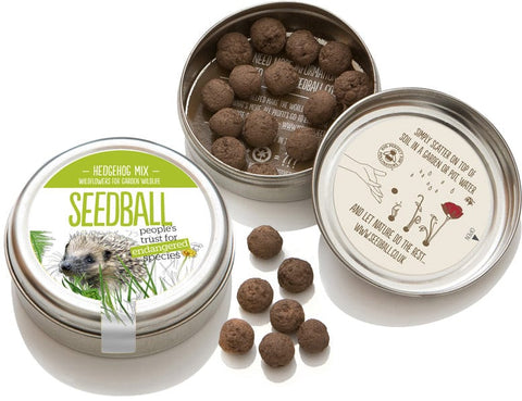 Hedgehod Seedball