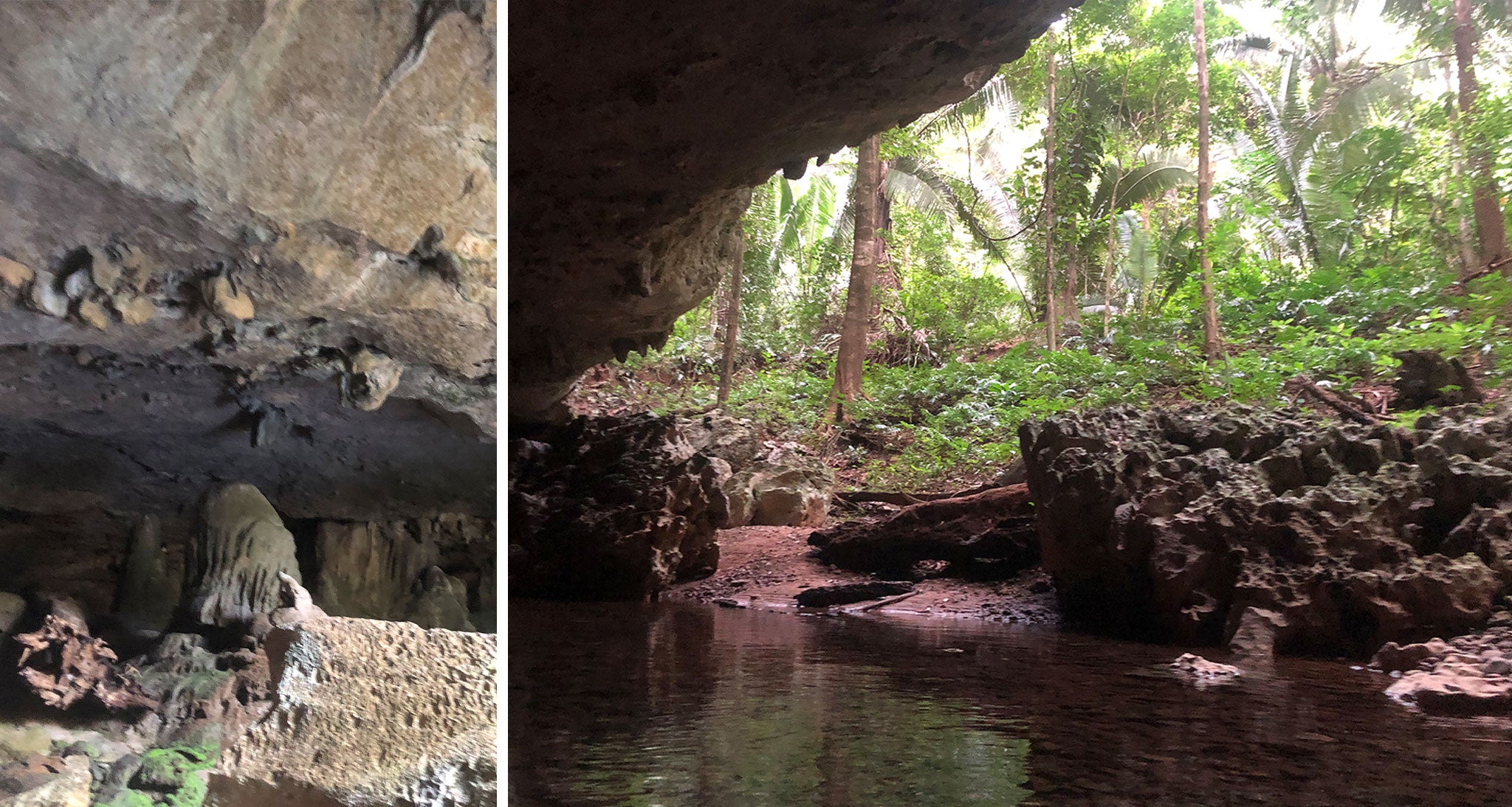 Robust jungles and caves in Belize