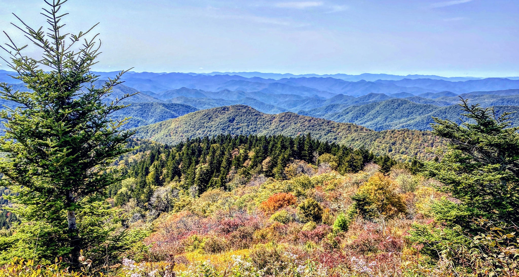 Black Balsam High Loop, Blue Ridge Parkway