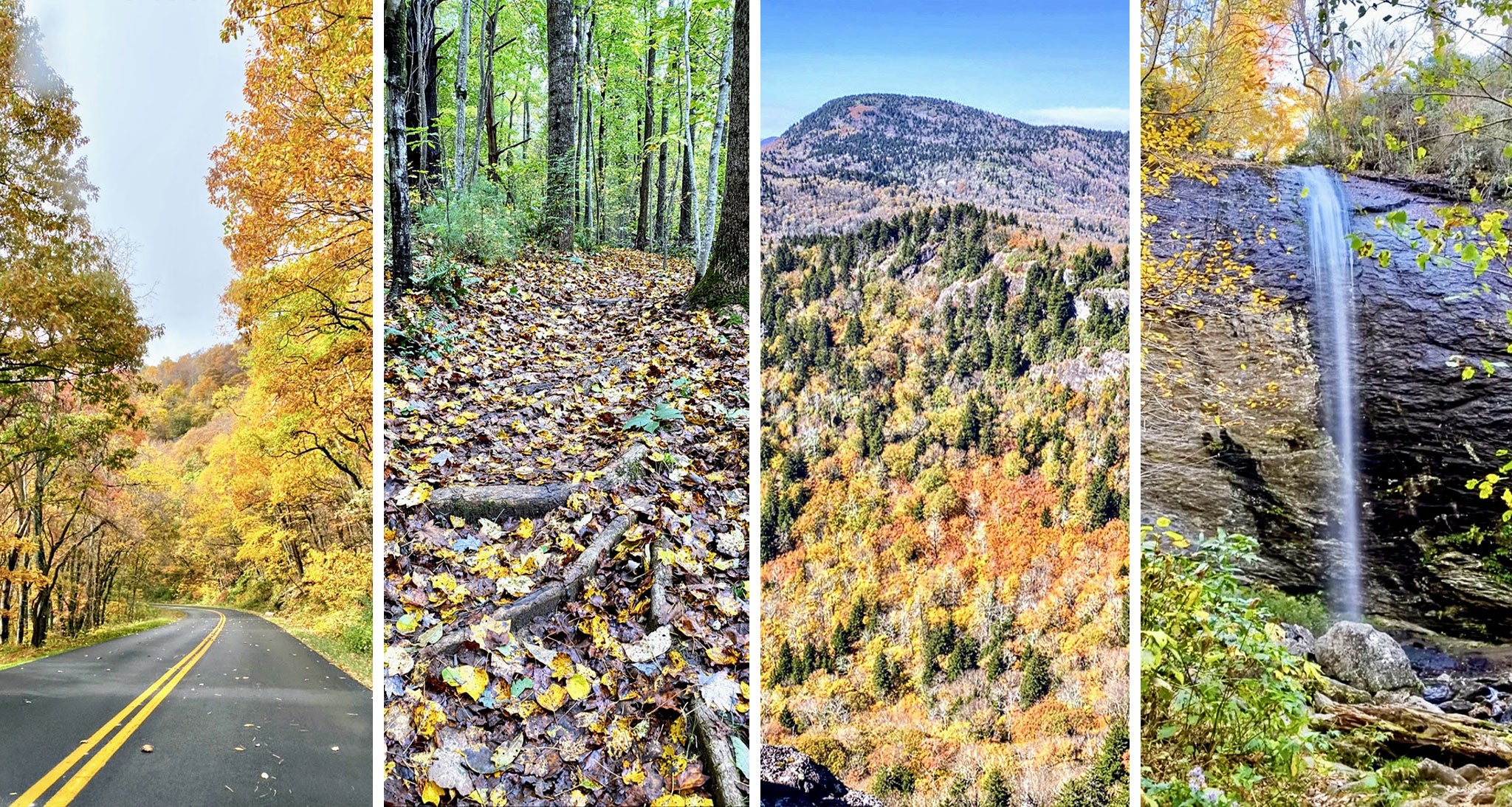 Fall foliage in the Blue Ridge Mountains