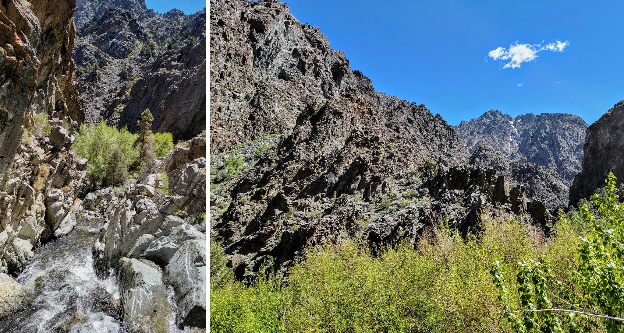 Lush Nevada mountain ranges