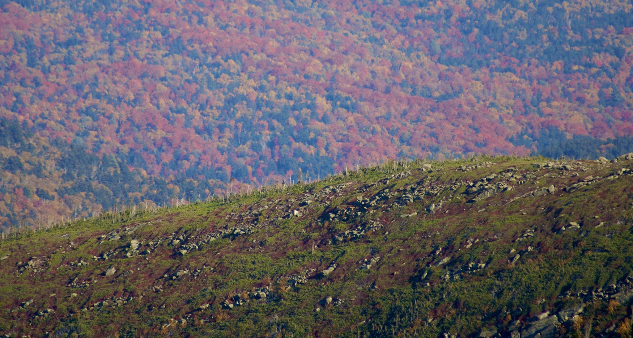 Fall foliage viewed from mountain top