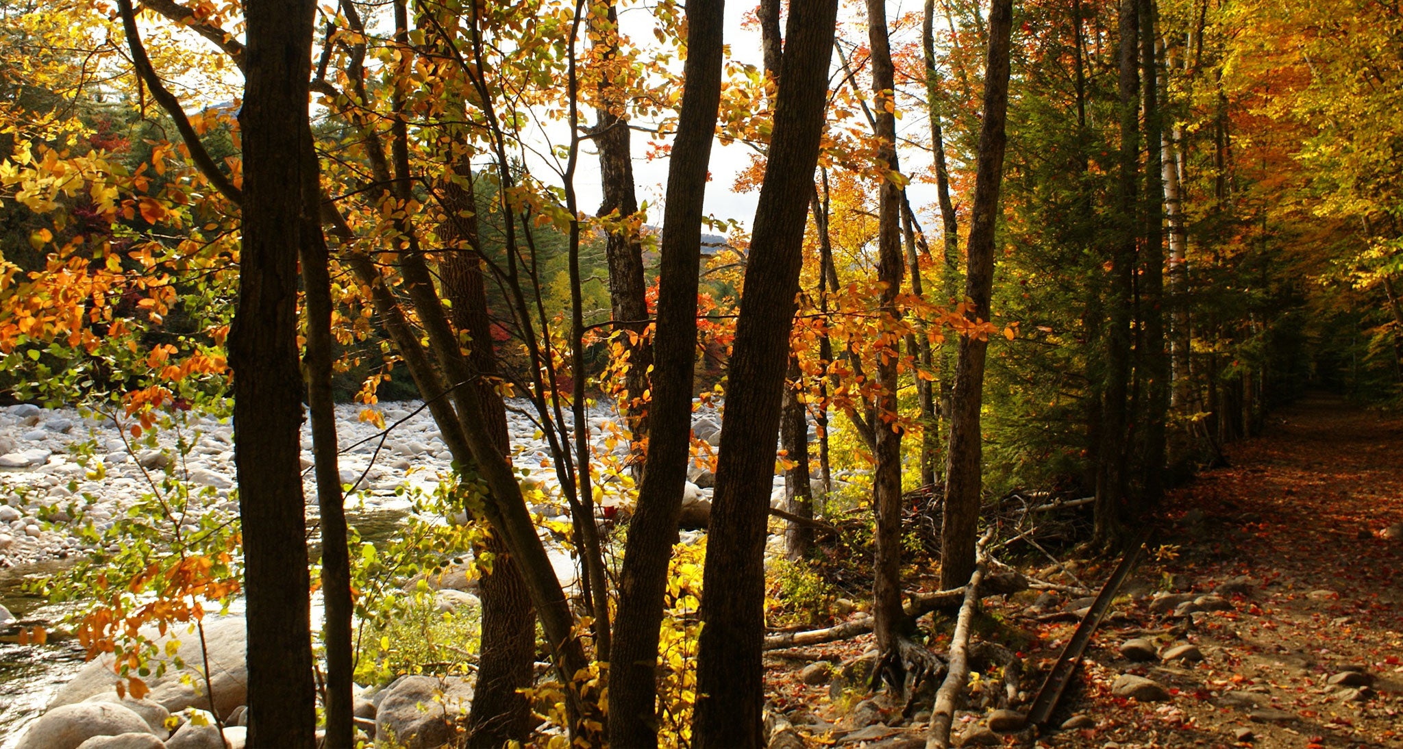 Fall foliage beside a New Hampshire river