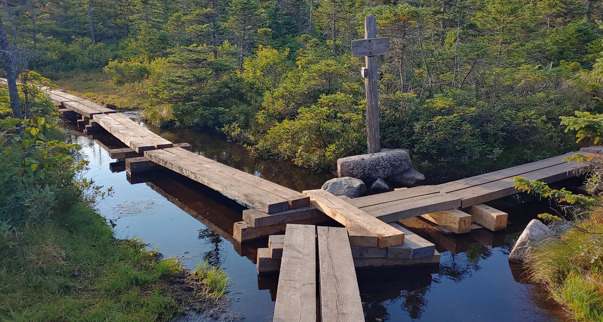 Wooden bridges on trail