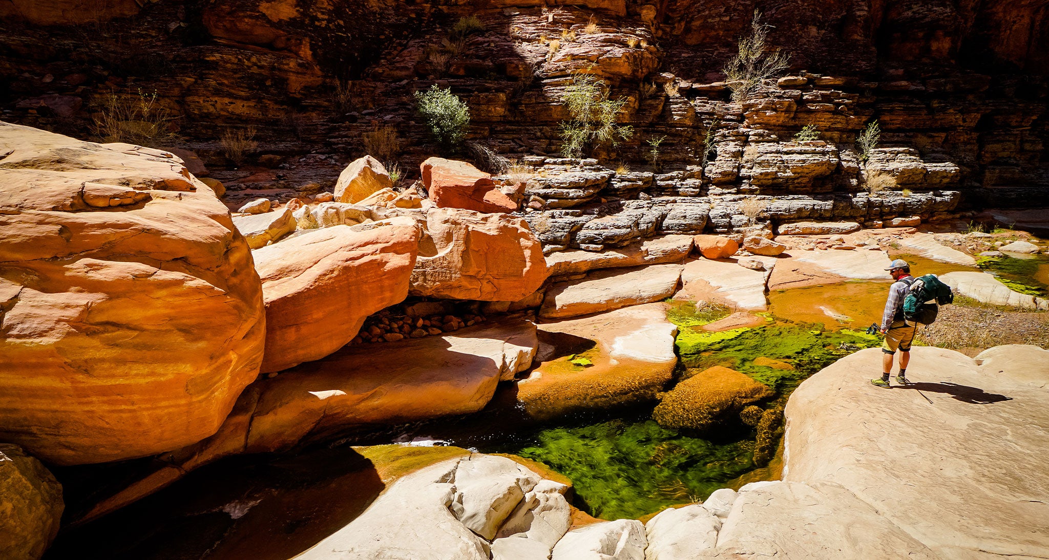 Hiker overlooking red rock water bed