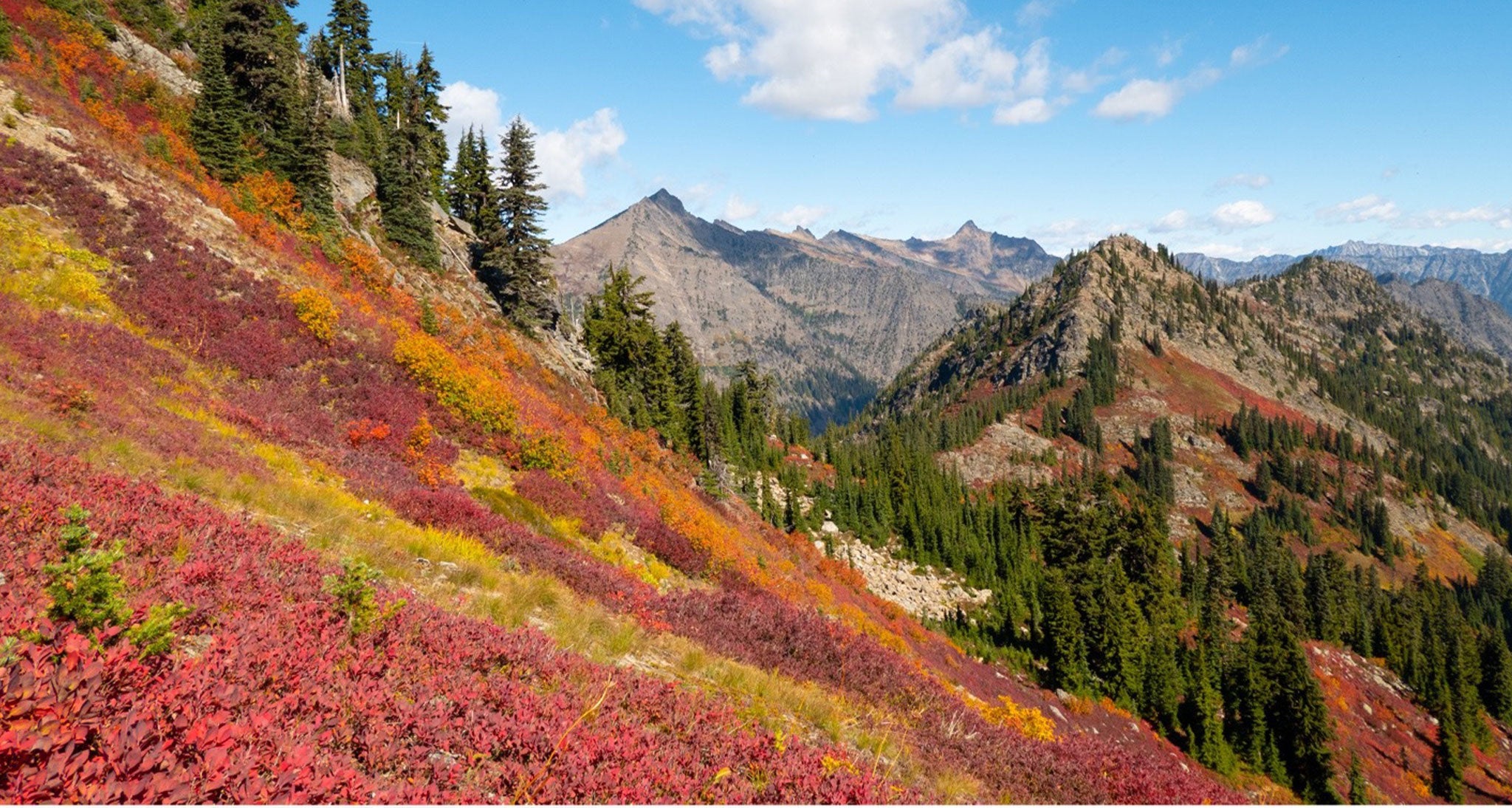 Poe Mountain Trail, Washington State