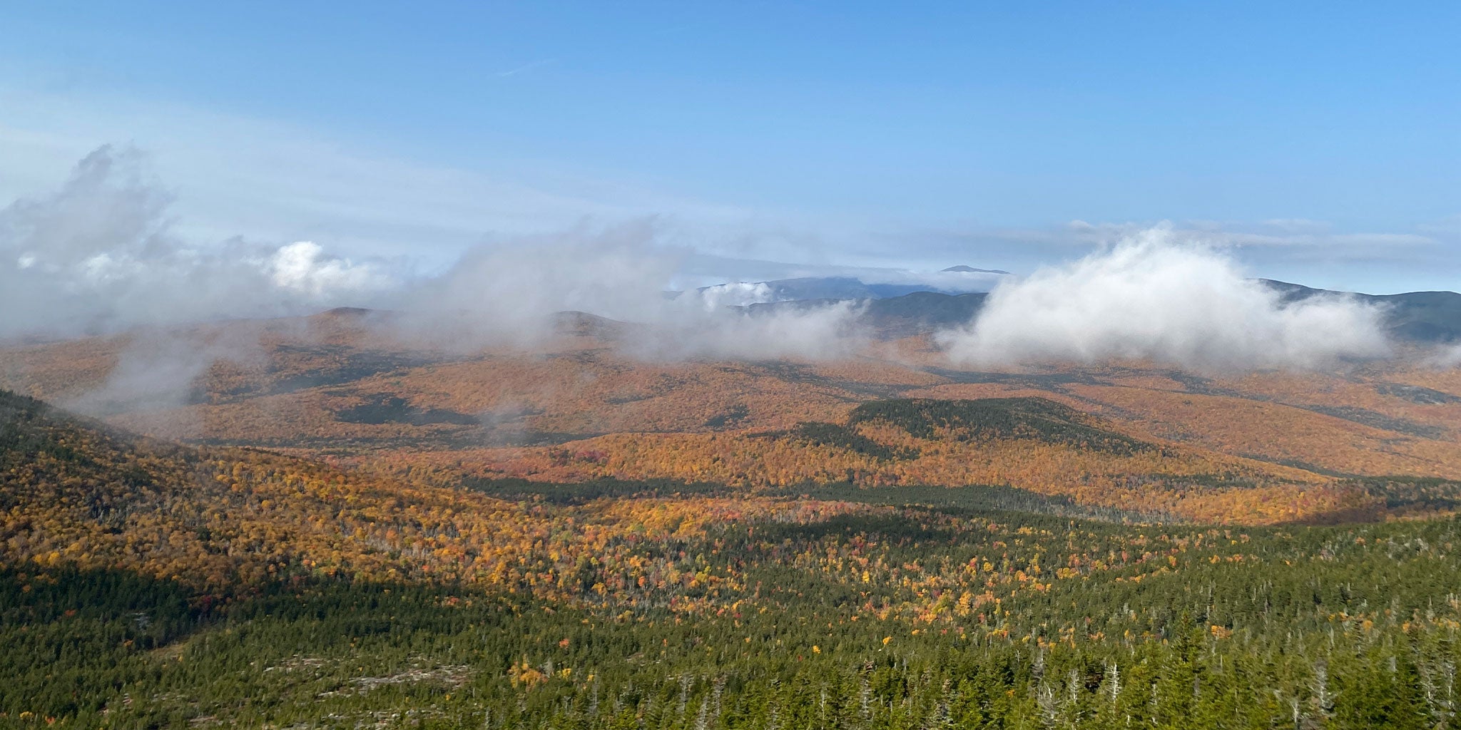 Fall foliage in the White Mountains