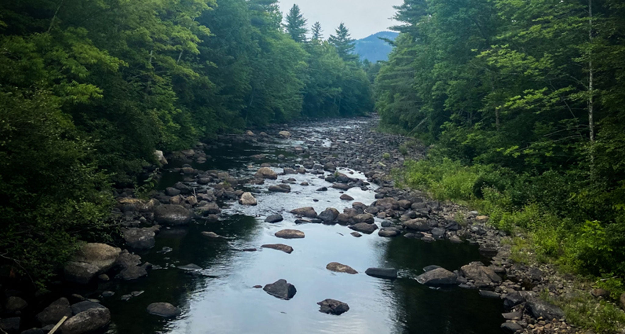 Rocky river bed in the 100 mile wilderness