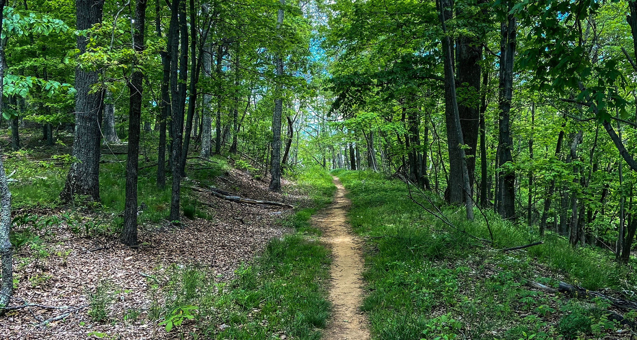 Virginia's Triple Crown of Hiking