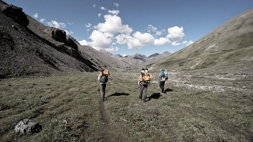 Hiking Towards the Leffigwell River