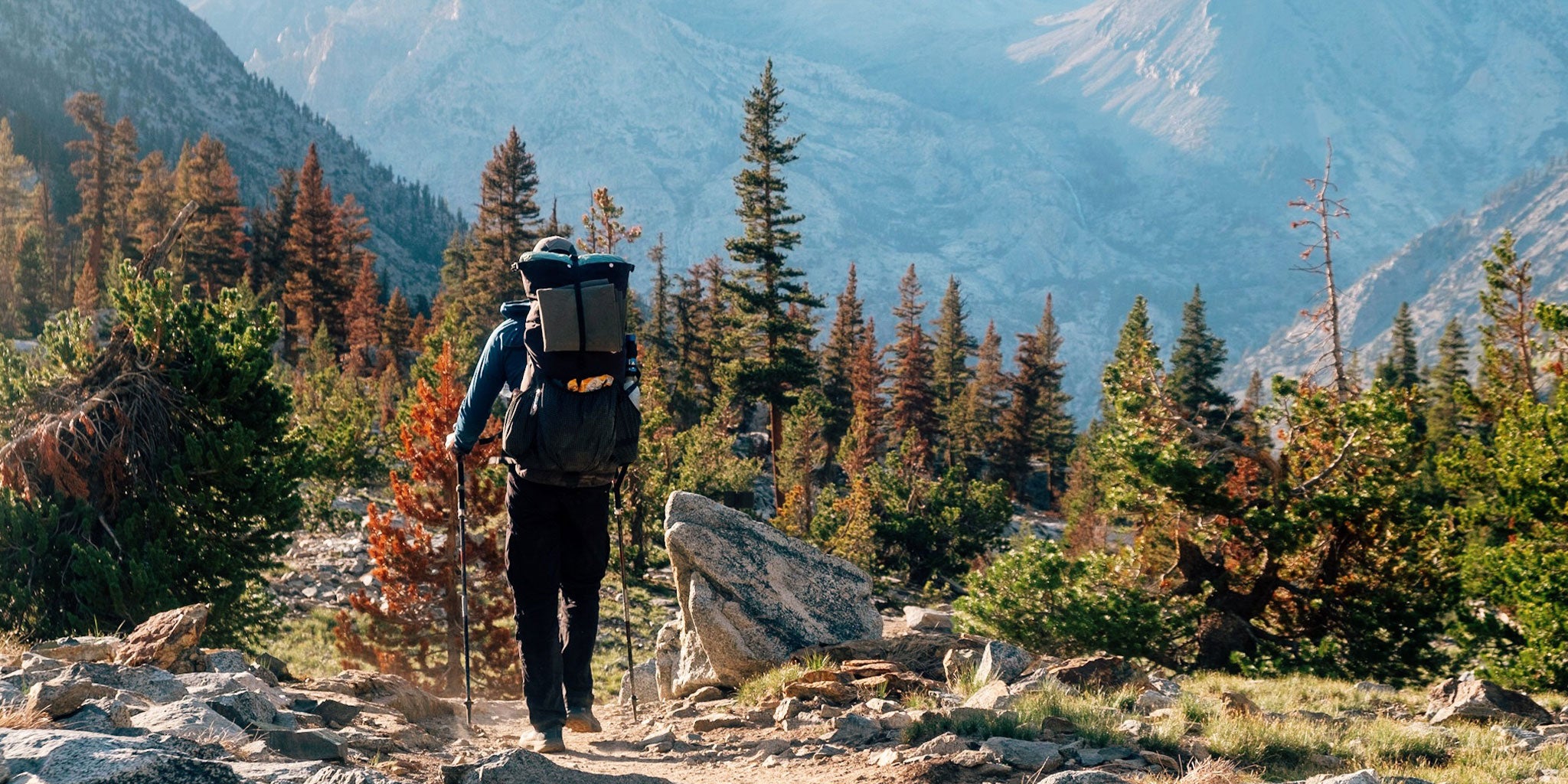 Hiker passes colorful trees