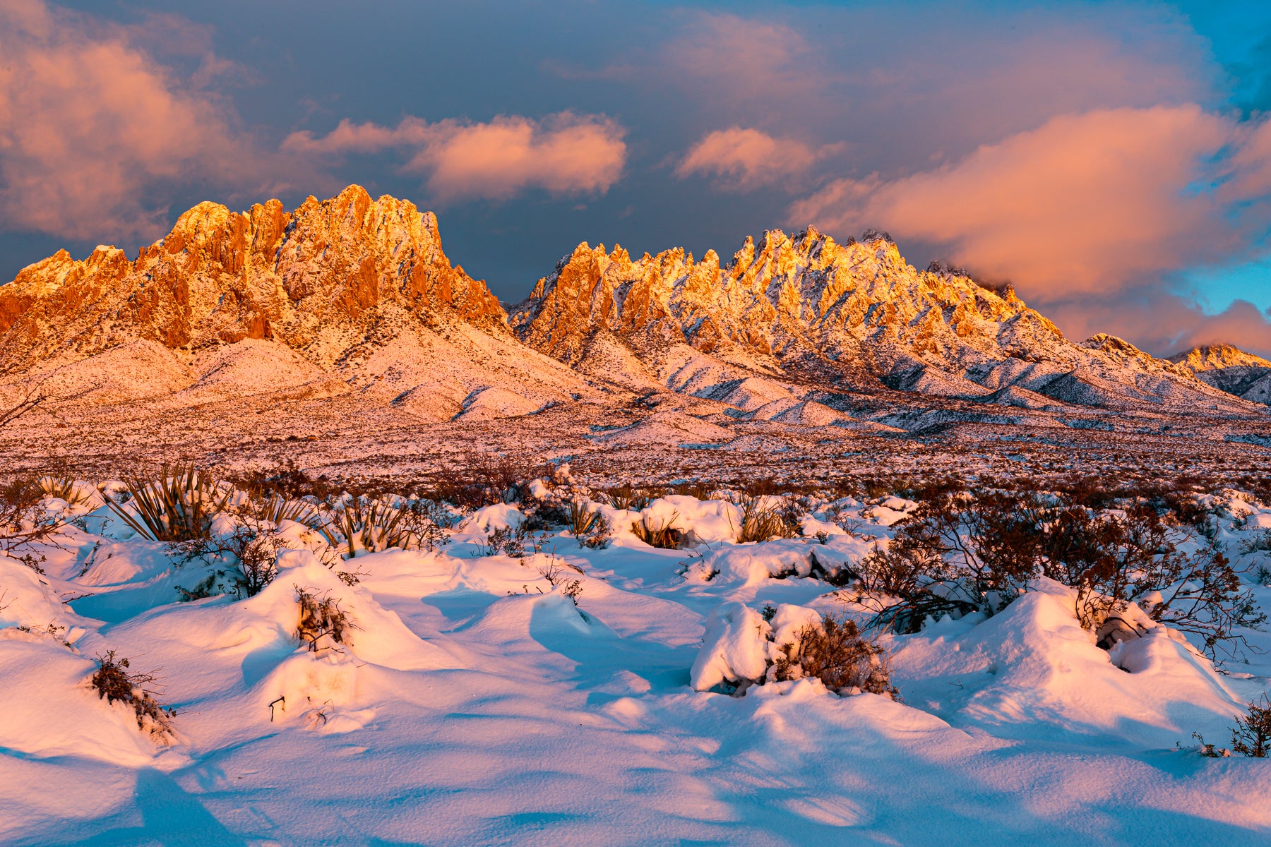 AND NOW FOR A LOOK AT THE WEATHER: UNDERSTANDING THE WONDERFUL, WILD, AND WACKY DESERT