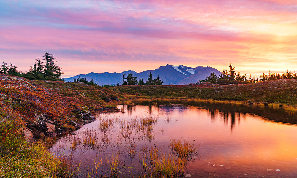 These are altostratus clouds illuminated by sunrise as they approach over the Chugach Mountains and Lost Lake Trail over Alaska’s Kenai Peninsula. Red sky in morning with these types of stable atmosphere clouds are a prelude to changing weather. This is a large scale organized occluded frontal system moving into Southcentral Alaska. Different from the cellular nature of rain showers and thunderstorm clouds this pattern produces widespread continuous rain. This type or rain can also happen behind a thunderstorm after the atmosphere stabilizes.