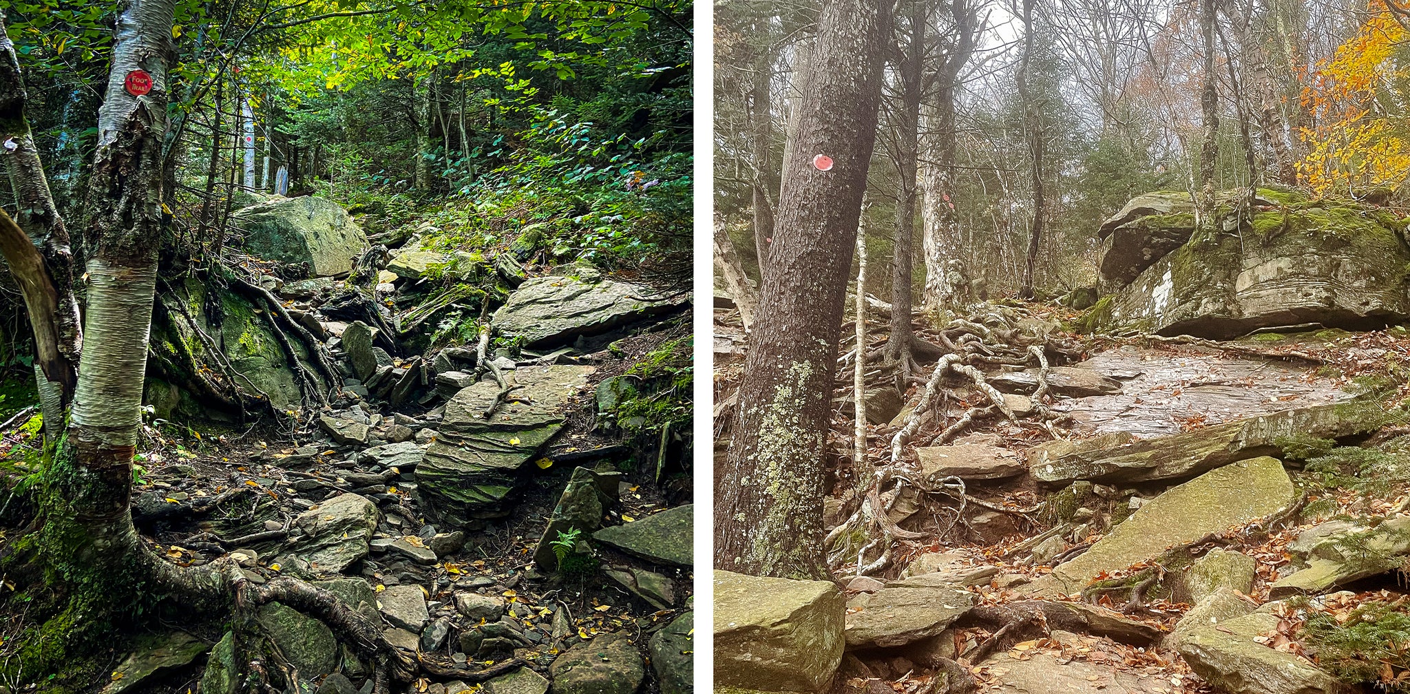 Trail on Westkill Mountain