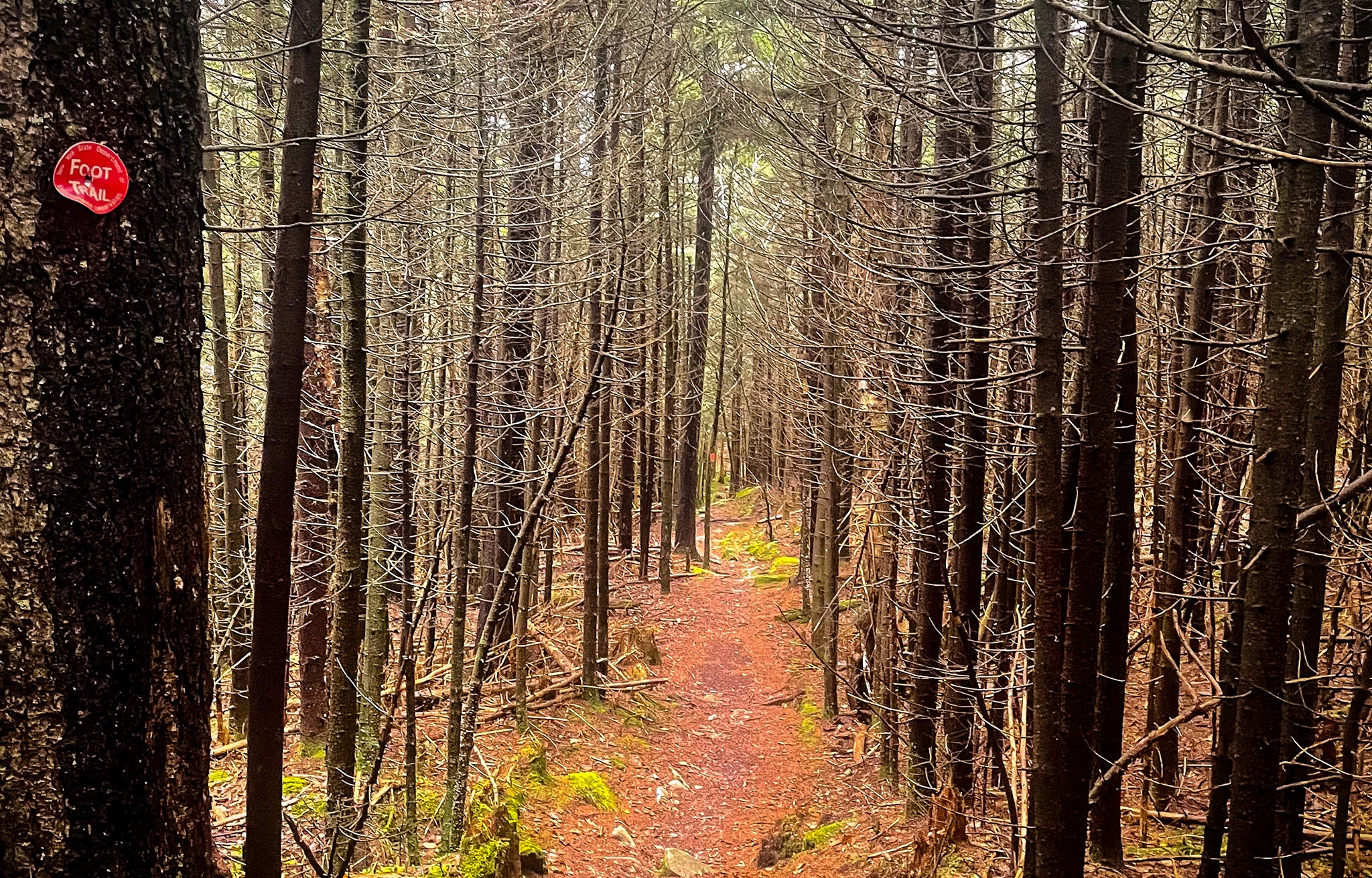 Devil's Path, Catskill Mountains