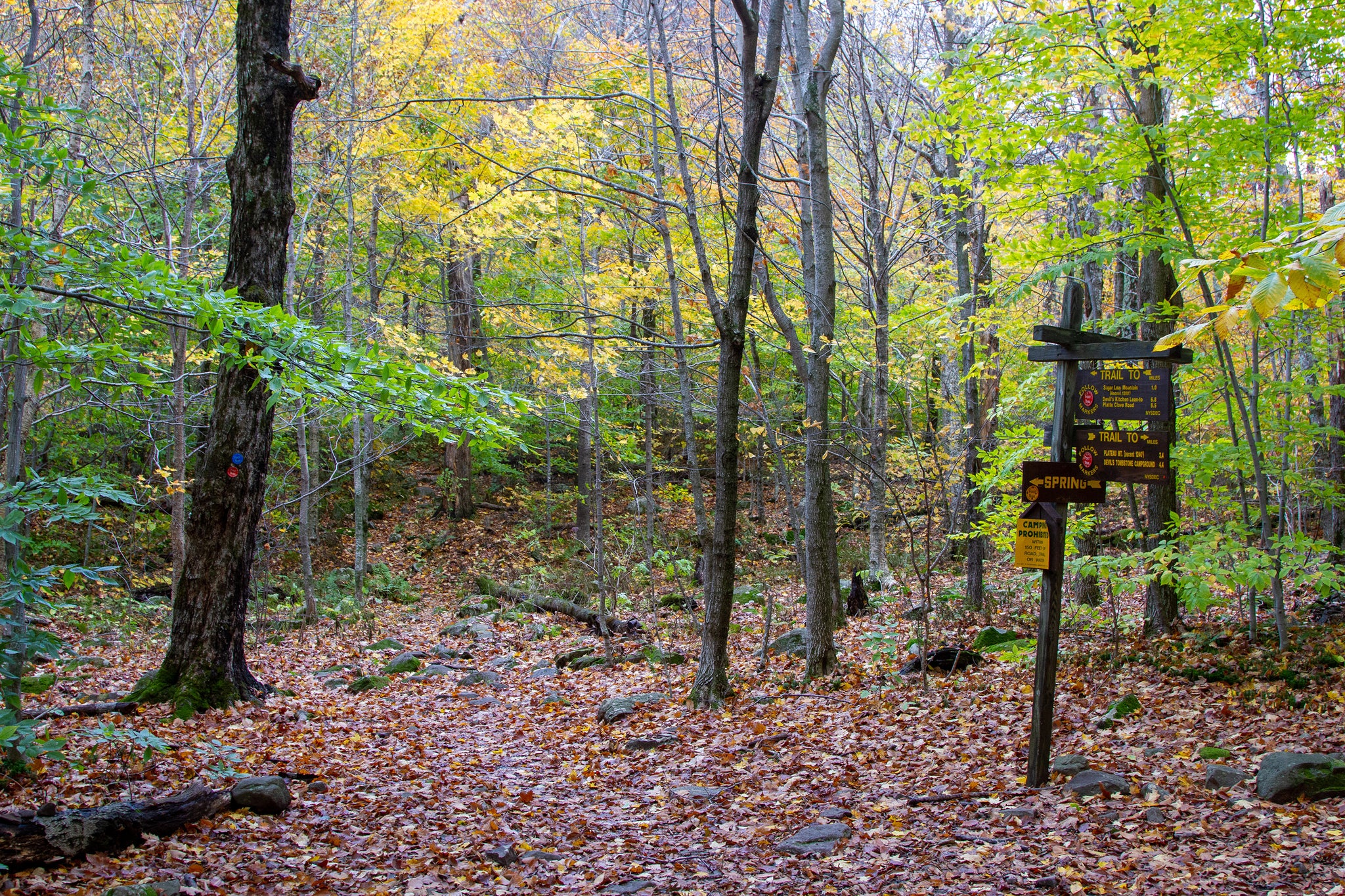 Trailhead in the Catskills