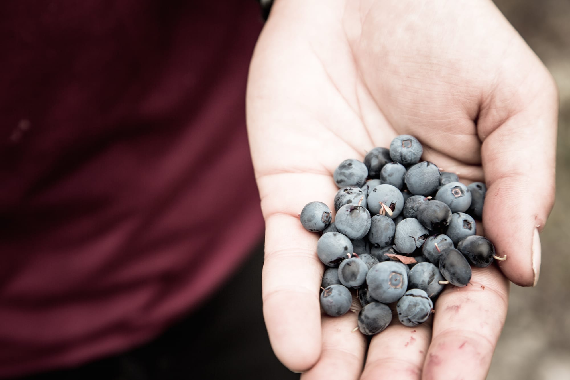 A Handful of Blueberries
