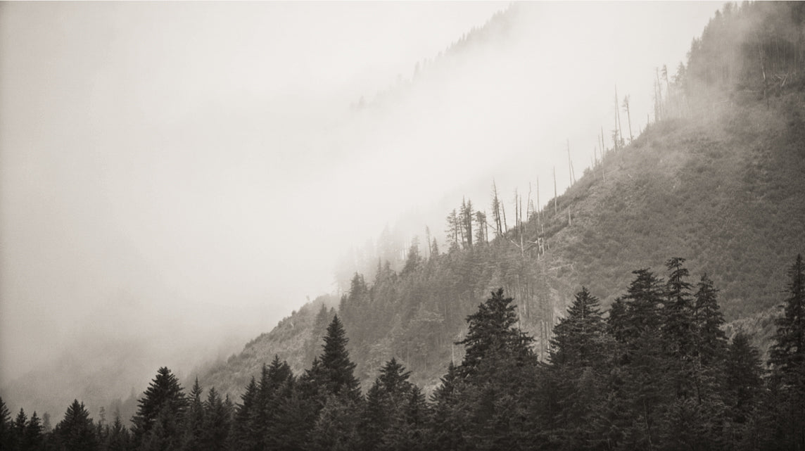 Image of Foggy Mountainside