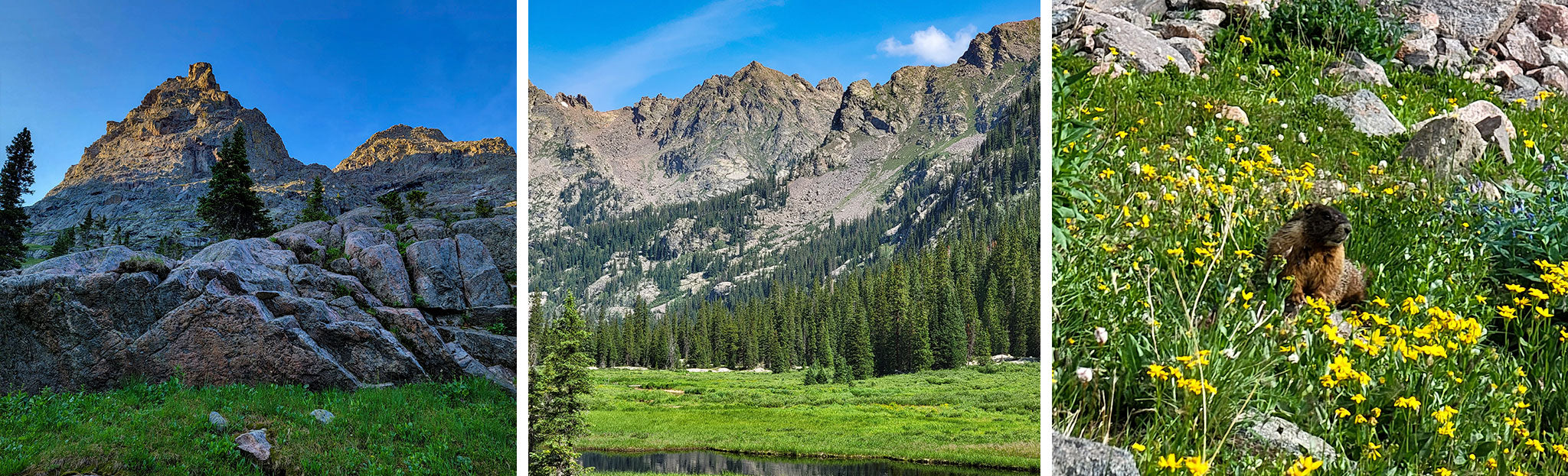 Kneeknocker pass and a marmot