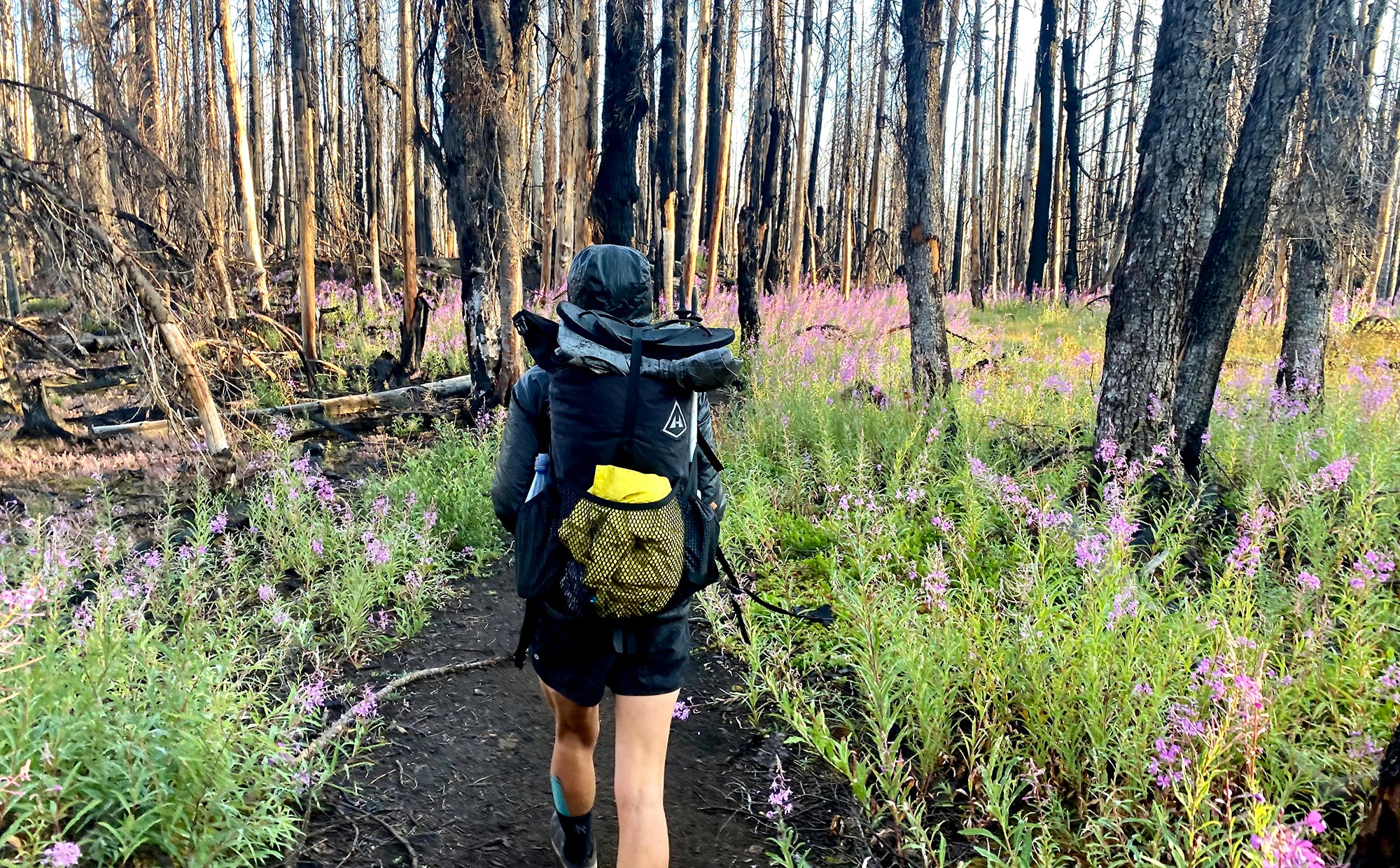 Hiker carries ultralight gear through the forest