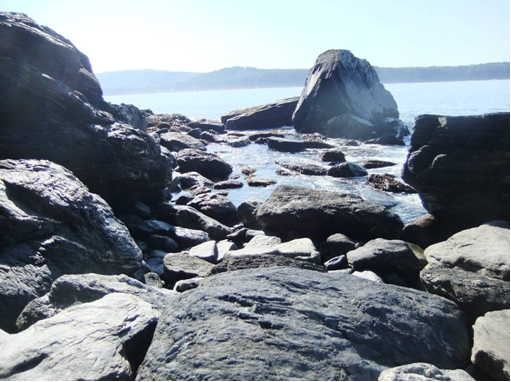 Rocky beach at low tide