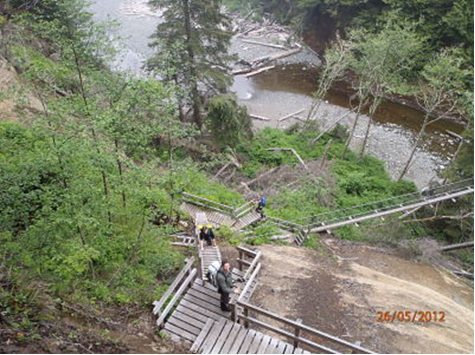 Steep wooden steps on the WCT