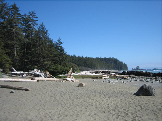 Sunny beach on Vancouver Island