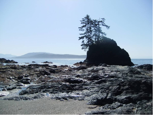 Hiking the West Coast of Vancouver Island: An Updated and