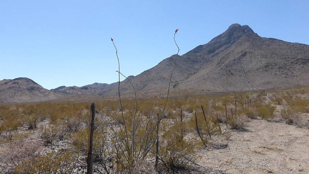 Backcountry desert trail