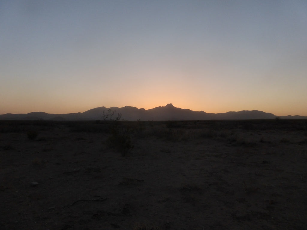 Desert sunset