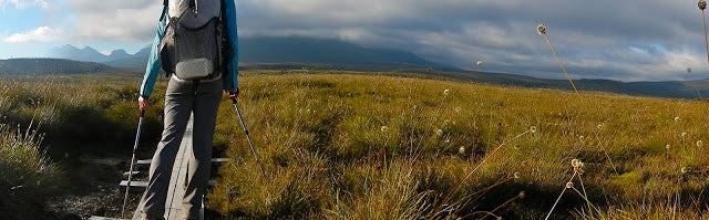 Tasmanian Track On Route to Pine Forest Moor