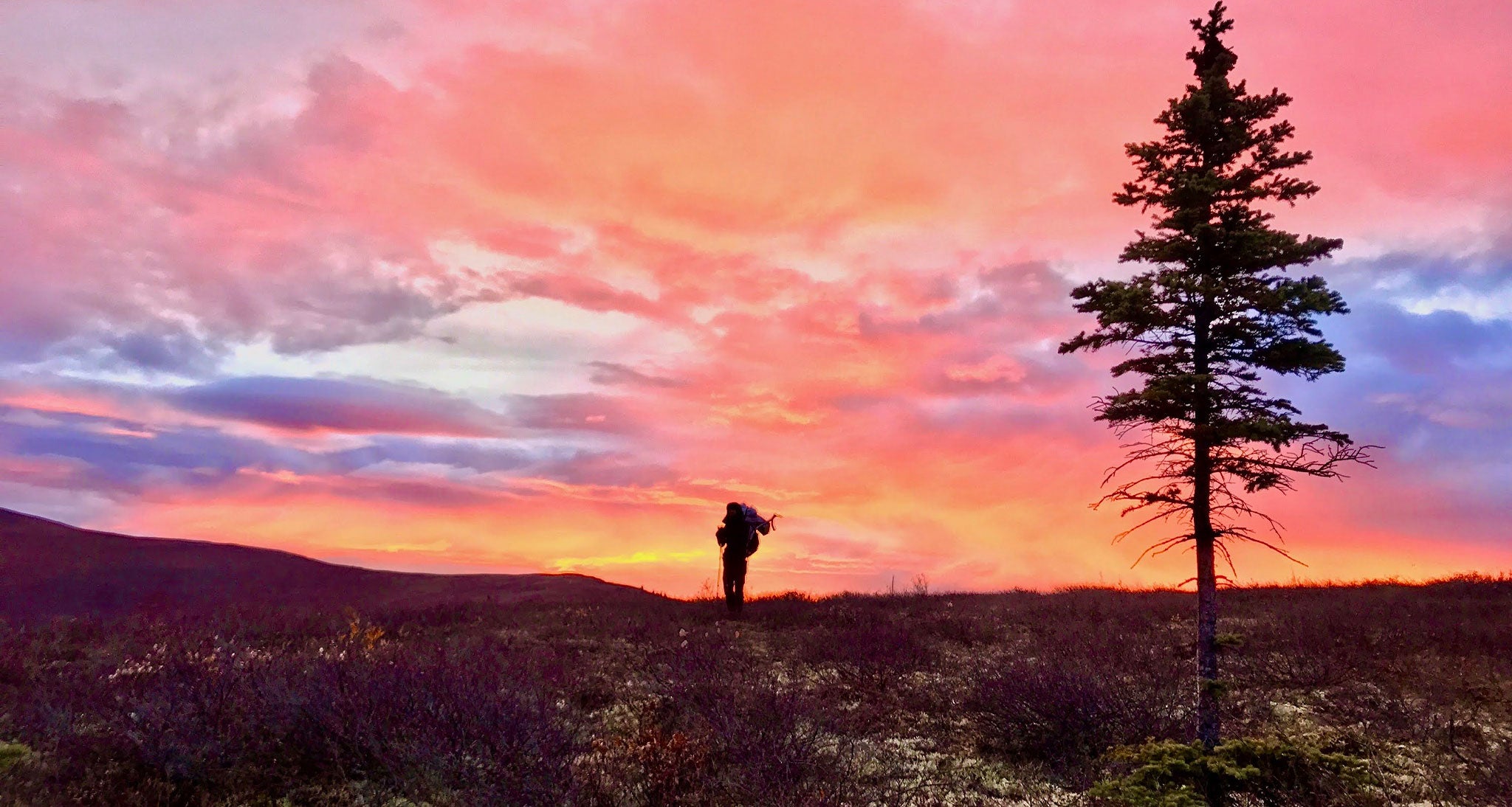 Alaskan sunset on the mountain