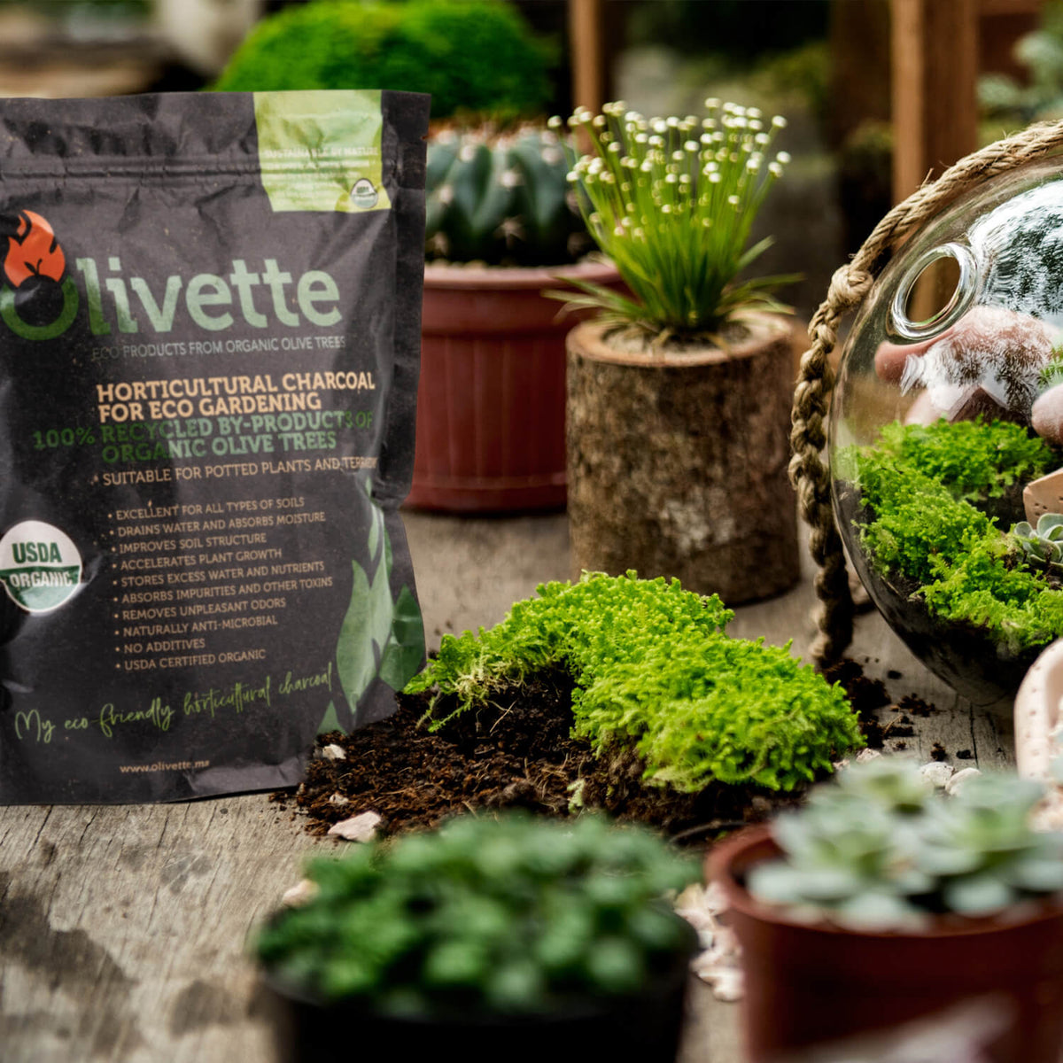 OLIVETTE Horticultural charcoal for eco gardening