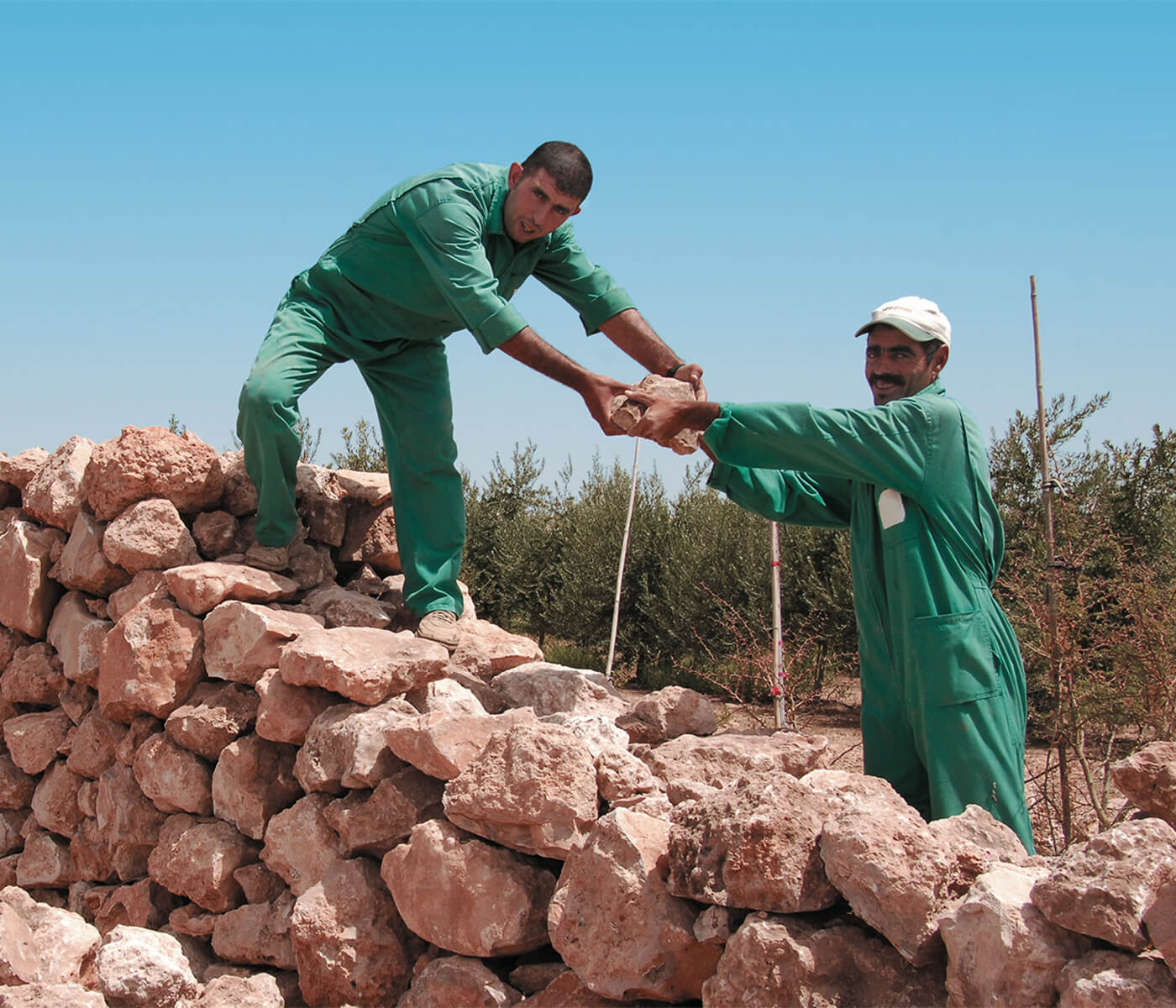 Atlas Olive Oils Estate El Borouj