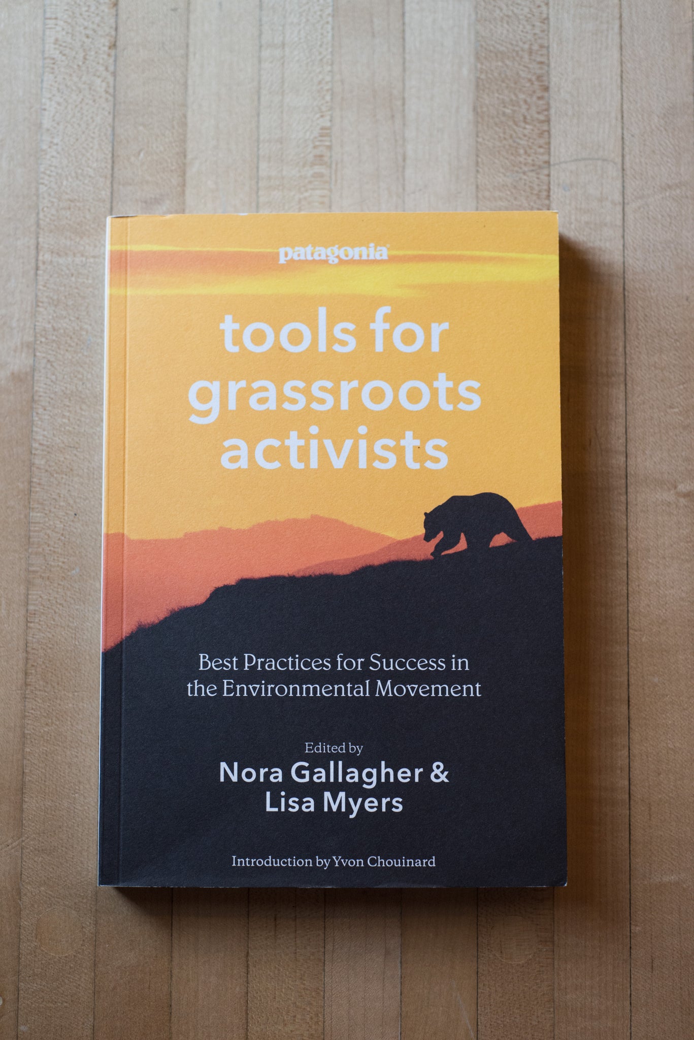 Aldea Coffee Favorite Books - Patagonia - Tools for Grassroots Activists 