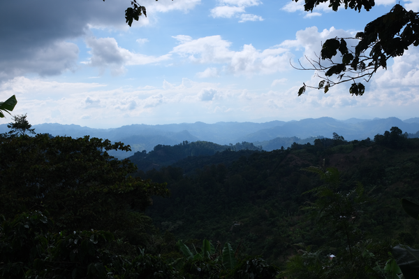 honduras skyline