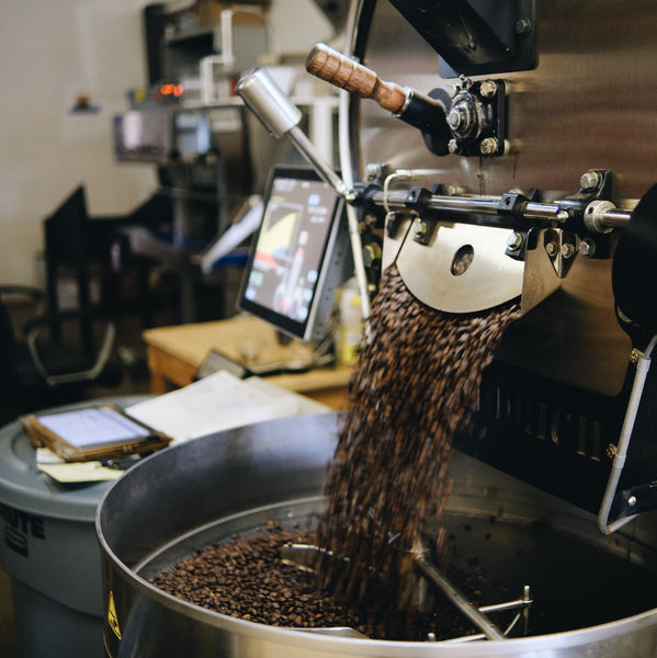 Coffee roaster emptying out roasted beans