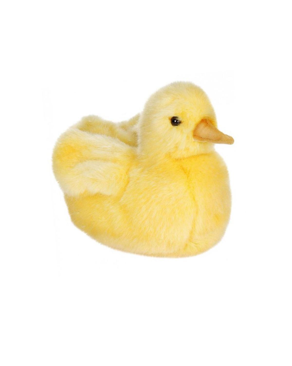 plush duck productions