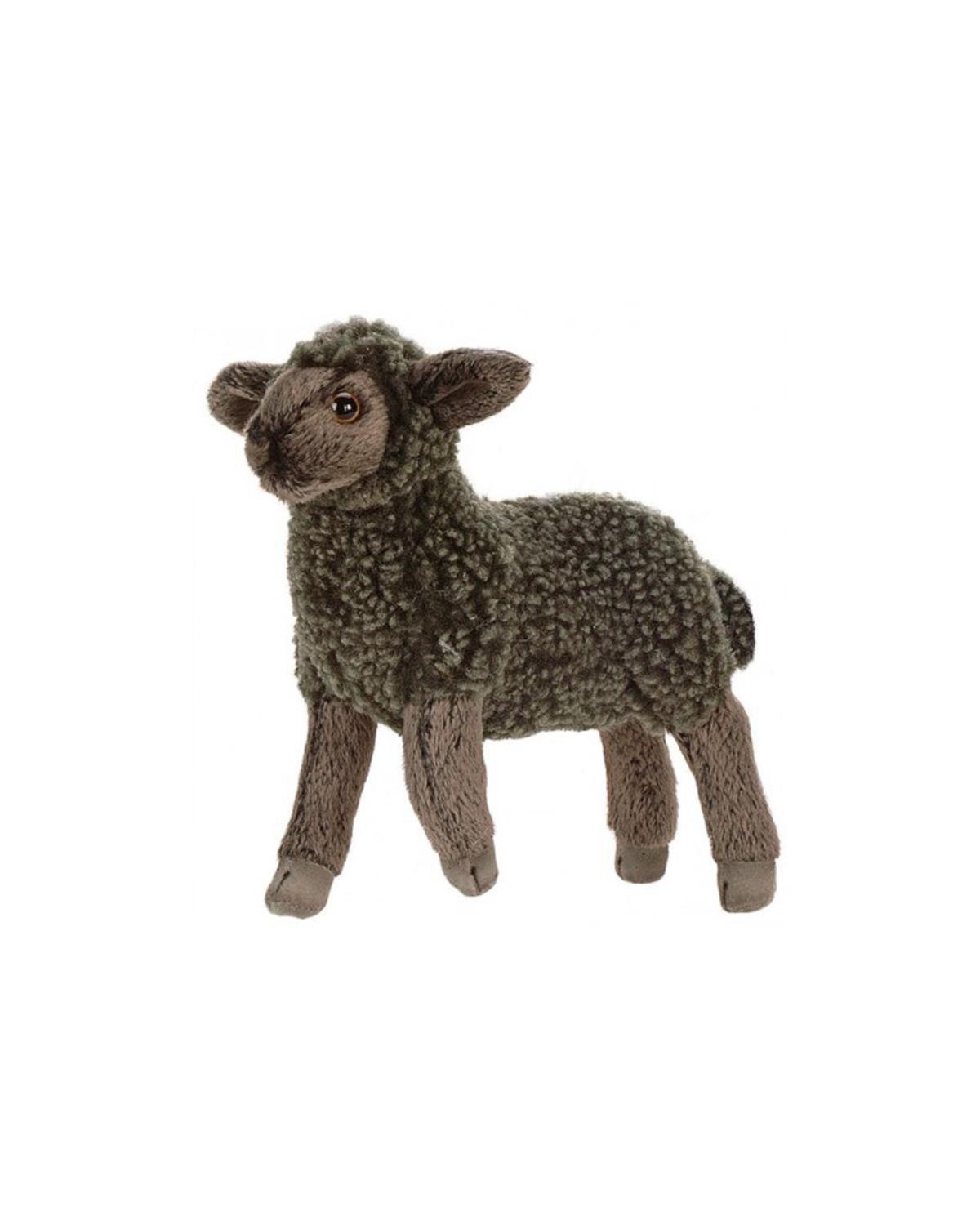 hansa lamb