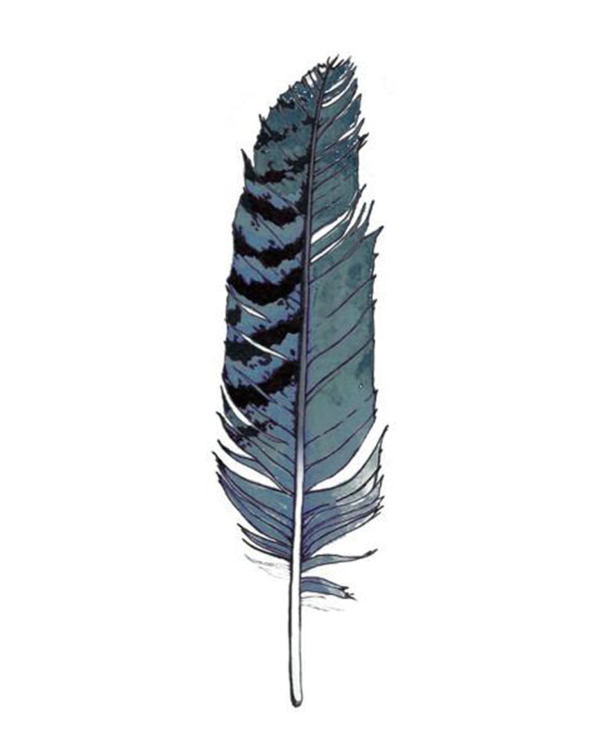 Tattly Blue Jay Feather Tattoo Little