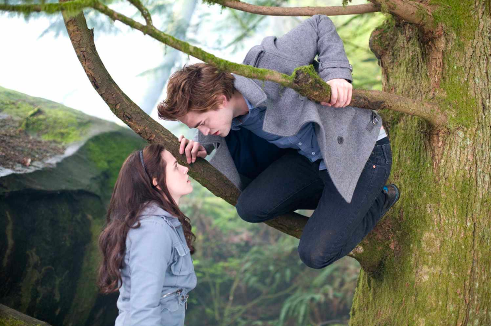 Image: Edward and Bella in the woods