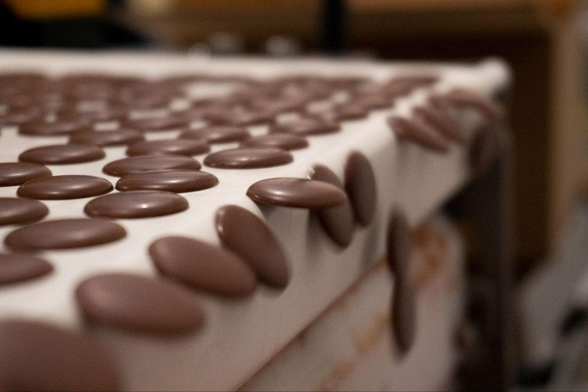 Rows of delicious chocolate couverture discs being produced on an assembly in the Conexion Chocolate factory