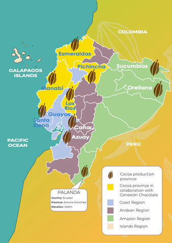 Terrior-Driven Ecuadorian Chocolate by Region