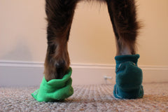 dog socks | paw care