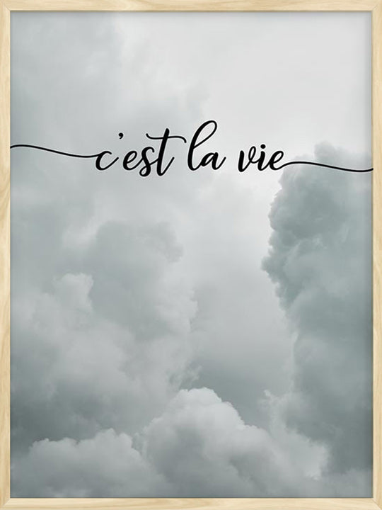 C Est La Vie Poster Posterwol