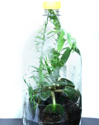 18 Smart Ways to Reuse Your Empty Glass Bottles