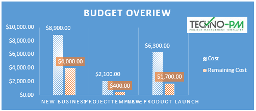 Budget Report, Project Budget Overview