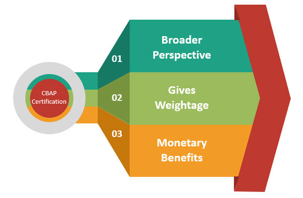 CBAP Certification, CBAP